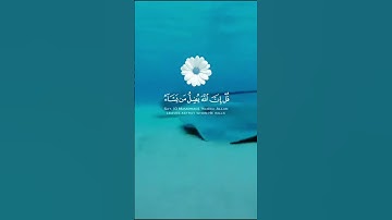 تلاوة عطرة ارح سمعك