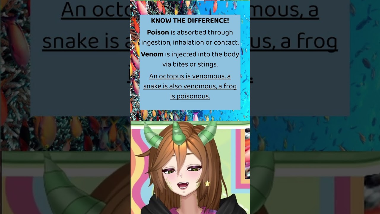 LEANRING ABOUT THE BLUE-RINGED OCTOPUS 🐙