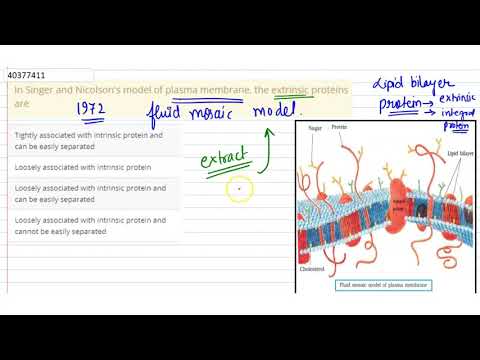 Video: Dalam model penyanyi dan model nicolson protein ekstrinsik adalah?