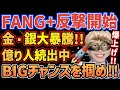 【歴史的上昇🚀】ゴールドラッシュ加速中!!乗るしかない、このビッグウェーブに🏄️【FANG+,NASDAQ,S&P500,金,銀,ゴールド,シルバー,メガ10,モメンタム】