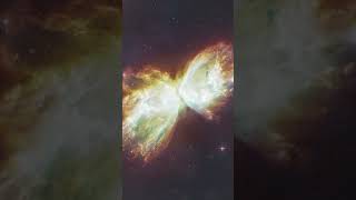 Famous The Milky Way's Plasma Bubbles May Slow Star Formation Profile