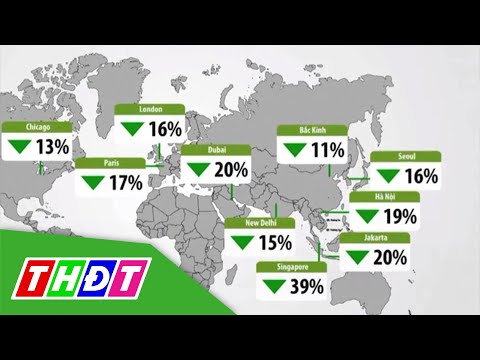 Video Chất lượng không khí được cải thiện trong năm 2020 |... - youtube