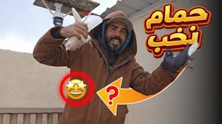 ضيعنا طير جديد 😱وجبنا طير مميز 🤔جبنا طيرتين نخب والهم قصه جميله 🔥