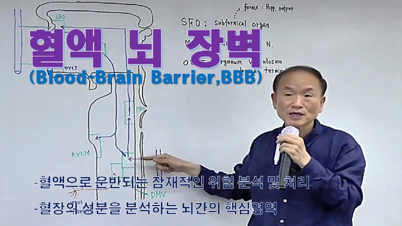 혈액 뇌 장벽(Blood-Brain Barrier,BBB) - 혈액으로 운반되는 잠재적인 위험 분석 및 처리 - 혈장의 성분을 분석하는 뇌간의 핵심영역