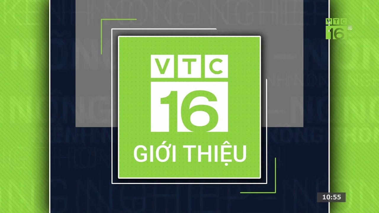 [1080p] VTC16 - GTCT trong ngày (10h55 - 7/7/2019) - YouTube