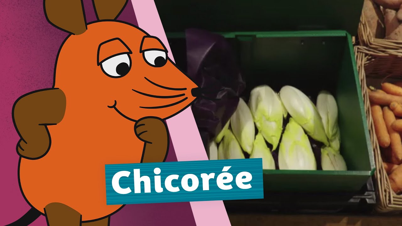 Warum wird Chicorée im Supermarkt in dunklen Kisten versteckt? | Die Maus | WDR