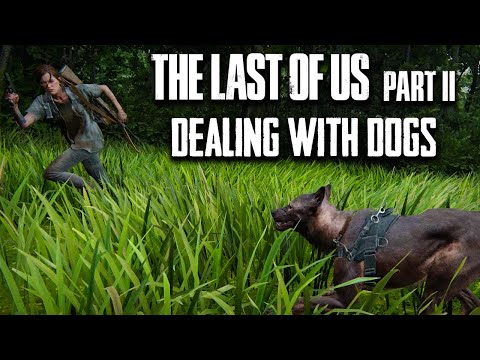 Let's talk about the dogs in 'The Last of Us Part II