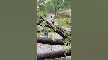 Rain Trending shorts video #shortsfeed #trending #ytshorts #viral #rain
