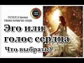 Эго или голос Духа, что выбрать?  Что такое эго?