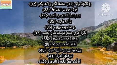 سورة عبس بصوت عبد الرحمن السديس_القرآن_الكريم