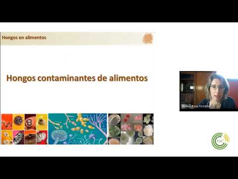 Video: ¿Todos los mohos producen micotoxinas?