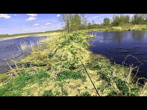 ЩУКА В МАЕ ! Рыбалка на спиннинг весной