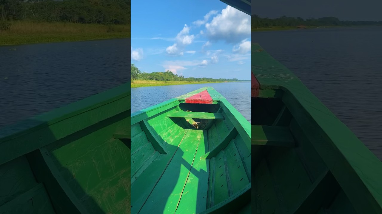 My Amazon River Cruise Experience | 4 Days