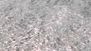 Sutiã Cortininha Com Bojo E Calcinha Lacinho Tribord Col.1415 - Inovação Exclusiva Decathlon