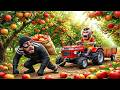 Monkey Farmer Drives Tractor to Harvest Apples &amp; Catch Evil Thief! PIKO MONKEY FARM