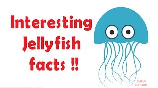 Jellyfish facts for kids - facts about jellyfish for kids - Simply E-learn Kids