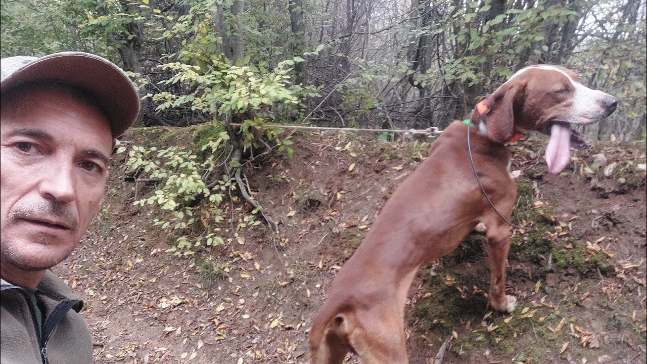 JEDAN JE IGOR VUK ZA OBUKU DA ZNATE.BIO I OSTAO SVE SU OSTALI LOSE KOPIJE MAKEDONIJA PAS....