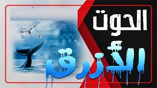 حقيقة ولا هزار.. القصة الكاملة لصوت الحوت الأزرق المرعب مفزع