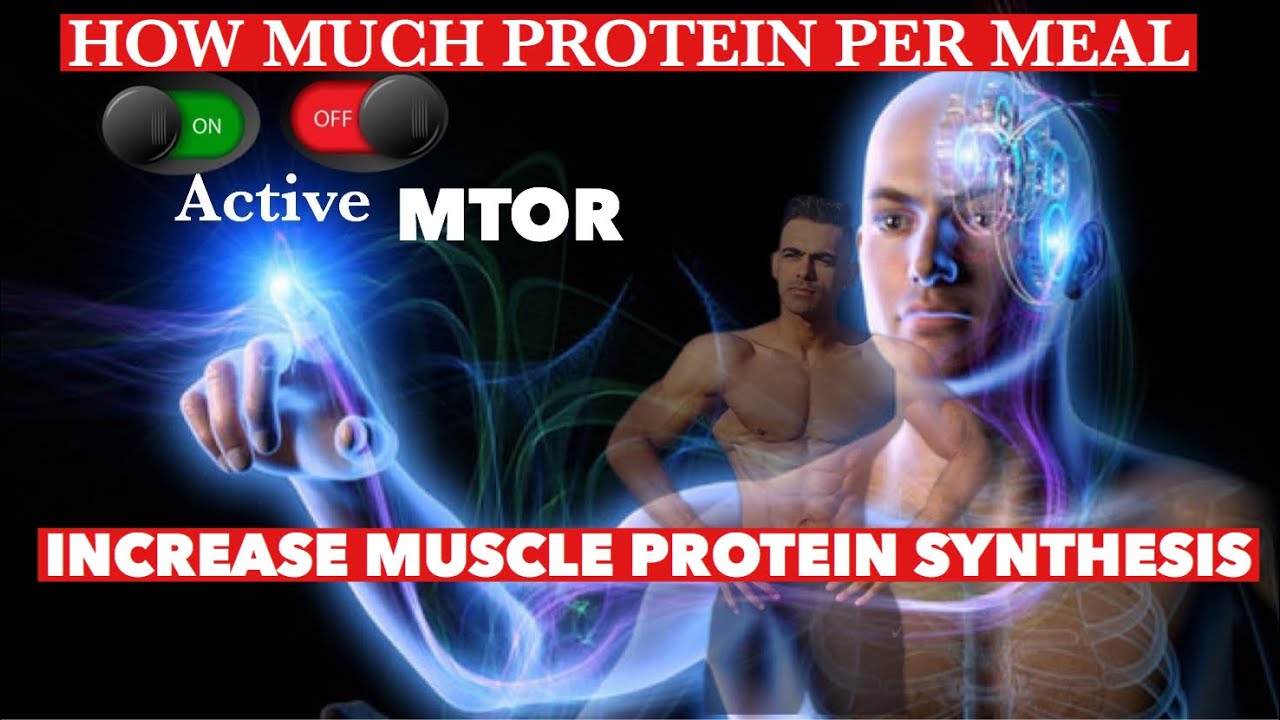 HOW MUCH PROTEIN  PER MEAL  TO ACTIVATE  (MTOR)  INCREASE MUSCLE PROTEIN SYNTHESIS