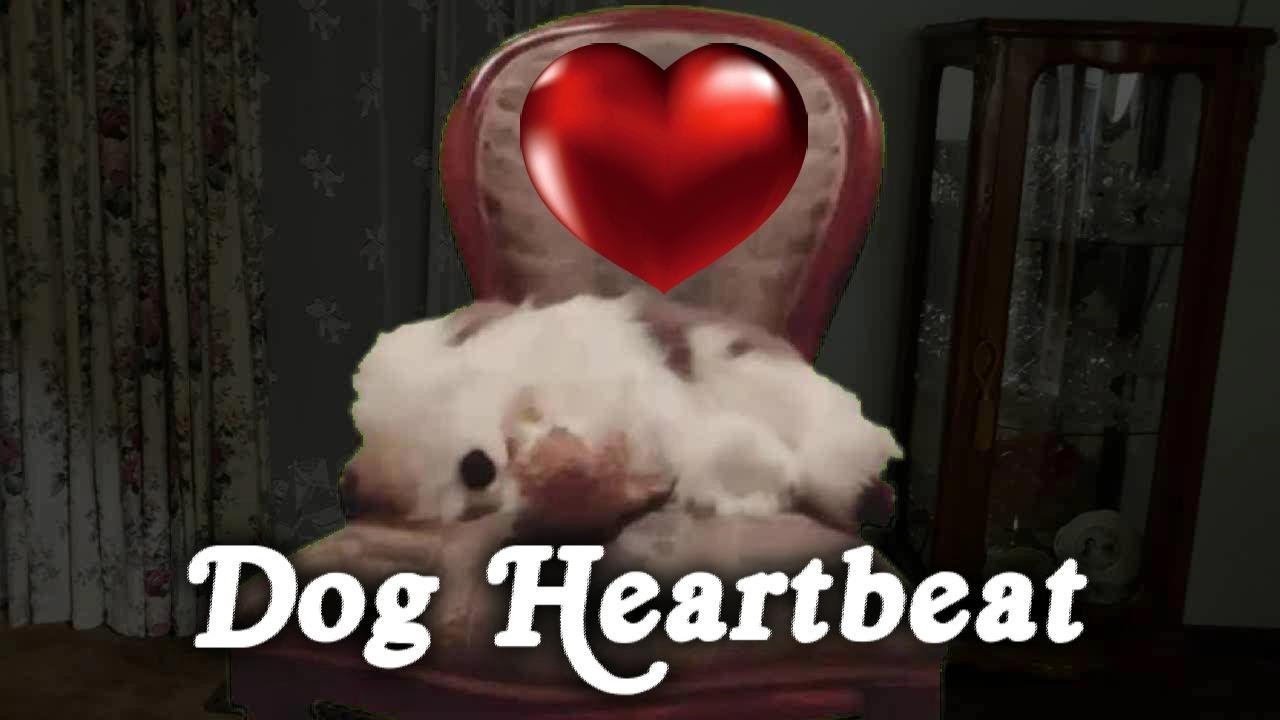 ▶️ Dog Heartbeat. Puppy Sleep Training. Dog Heartbeat Sound Effect. Heartbeat  Sound. 10 Hours. 🌏 - YouTube