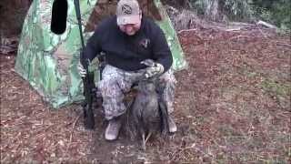 Turkey Hunt with .177 Gamo Whisper Pellet Gun screenshot 4