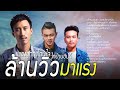 เพลงใหม่ล่าสุด | นกเจ่า,เงือกทอง,อ้านมันคนชั่ว