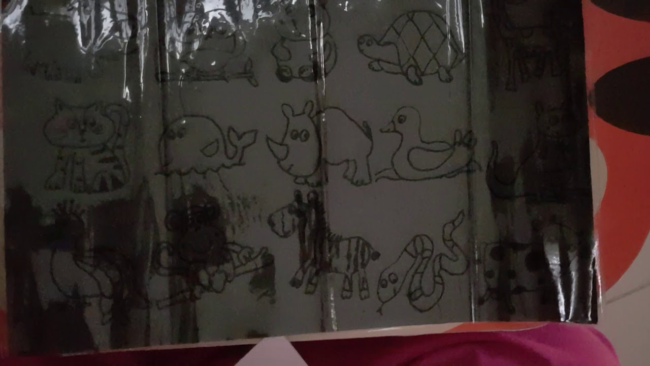 Safari malam - YouTube