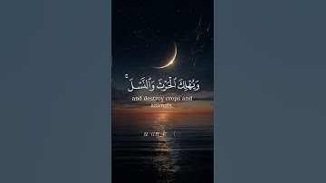 وَيُشۡهِدُ ٱللَّهَ عَلَىٰ مَا فِي قَلۡبِهِۦ وَهُوَ أَلَدُّ ٱلۡخِصَامِ #quran #سيد_سعيد #سورة_البقرة