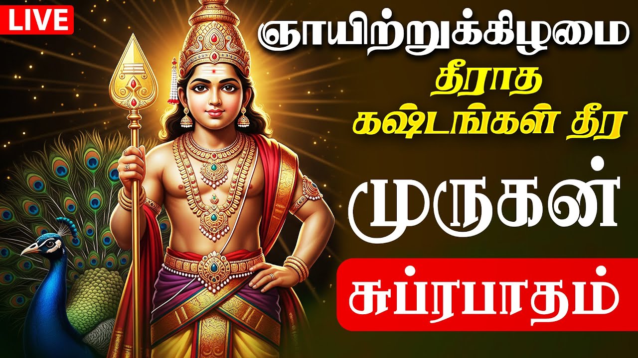 🔴LIVE SONGS சனிக்கிழமை கேட்க வேண்டிய முருகன் சுப்ரபாதம் Murugan Suprabhatam Tamil Bakthi Paadal