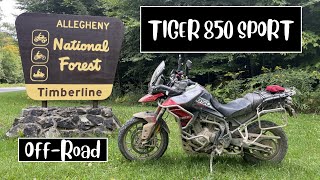 TRIUMPH TIGER 850 SPORT Off-Road Trails in Allegheny National Forest PA