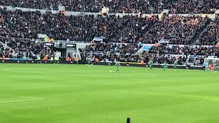 Newcastle Fans As Jamal Lascelles