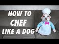 How to Chef Like a Dog: Funny Dogs Maymo &amp; Penny