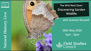 The Wild Next Door: Discovering Garden Wildlife - Graham Banwell