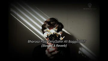 Bharosa Pyar Tera (Slowed & Reverb) | Full Ost | Sahir Ali Bagga  BY ROHAAN