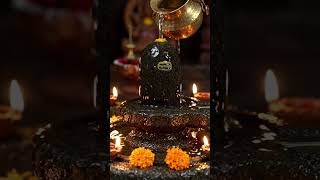 om nom sibay nomo || har har mahadev #om nom sivay #mahadev