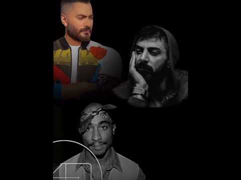 ريم اسماعيل تمر و تامر حسني و توباك
