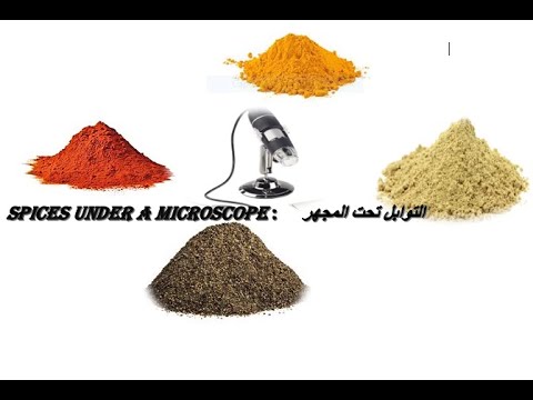 Spices under a microscope :1600X:التوابل تحت المجهر