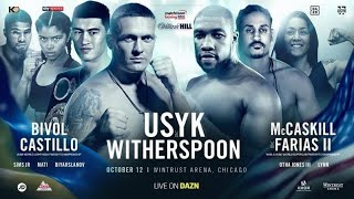 Usyk vs Witherspoon / Александр Усик - Чазз Уизерспун  HD