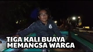 Buaya Muara Memangsa Manusia