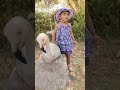 cute baby playing 🤩🎴 #music #song #bollywood #shorts  #dance #babyanaya #trending #cutebaby