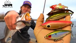 Speckled Trout Blues?! Try These…