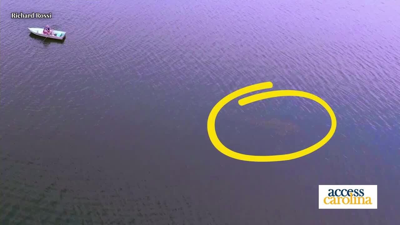 Greenville-based filmmakers capture possible evidence of "lake monster"