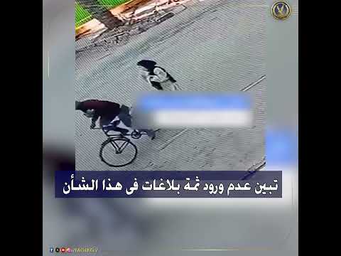 كشف ملابسات مقطع فيديو لقيام أحد الأشخاص يستقل دراجة بسرقة هاتف محمول من إحدى الفتيات بالإسماعيلية