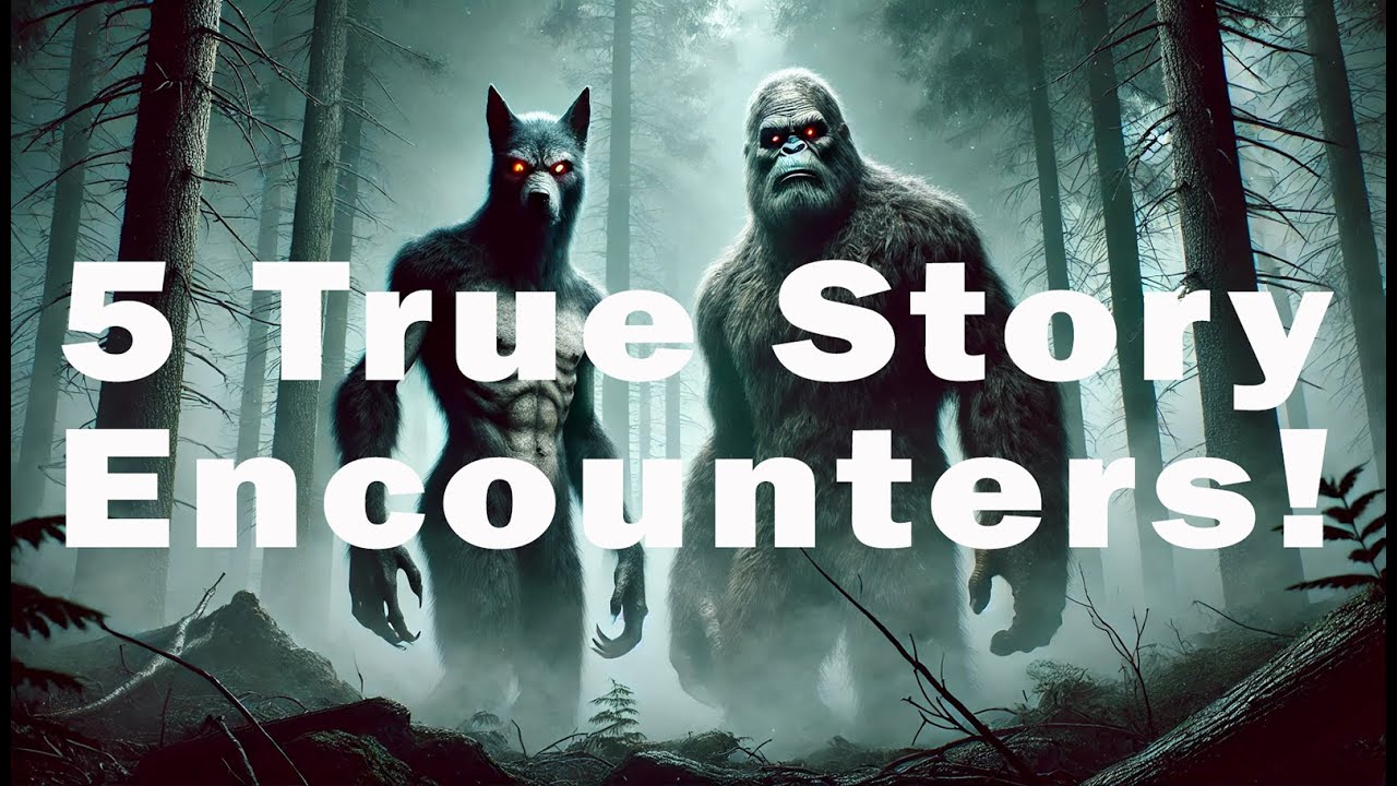 5 True Story BIGFOOT Encounters! - Compilation Episode 6