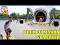 UPlIN DII MUWAKIOUWEIUWAN SEA EWATIUWER?!