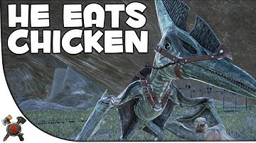 Different Foods to Tame?! - Modded Ark Survival Evolved Valhalla Primitive PVP Server (S5P6)