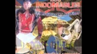 Video thumbnail of "Los indomables El quebrador"