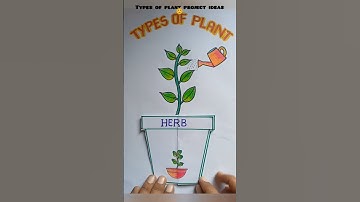 Types Of Plants Project Ideas #Educations