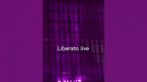 Liberato  Gennaro Nocerino  Il mistero risolto inv...