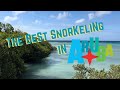 The Best Snorkeling In Aruba | No Boat Required | Mangel Halto Beach | Aruban Filipino Snacks Ep 2